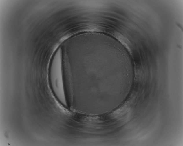 X0000092100845200709121543