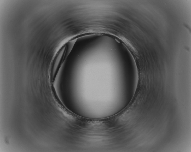 X0000092100846200709121543