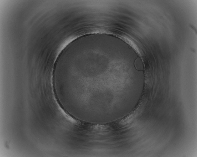 X0000092100847200709121543