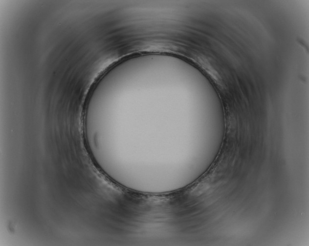 X0000092100848200709121543