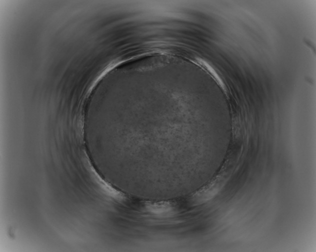 X0000092100851200709121543