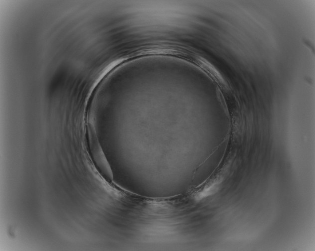 X0000092100852200709121543