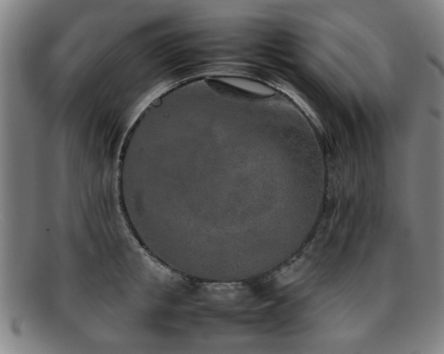 X0000092100853200709121543