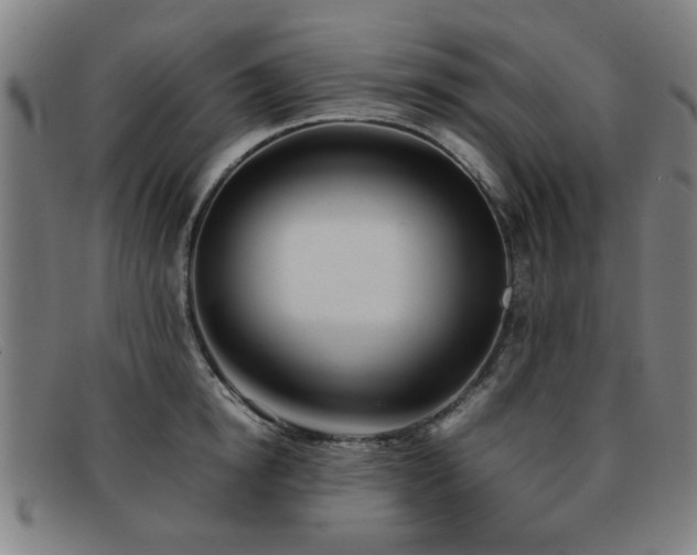 X0000092100854200709121543