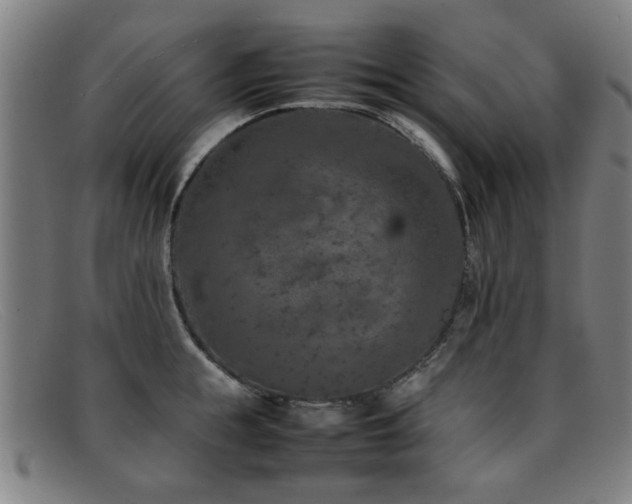 X0000092100855200709121543