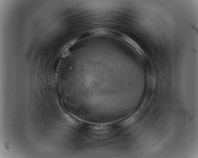 X0000092100857200709121543