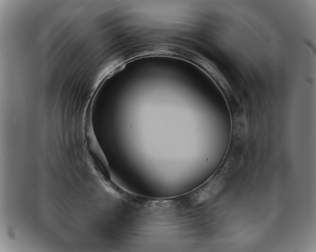 X0000092100858200709121543
