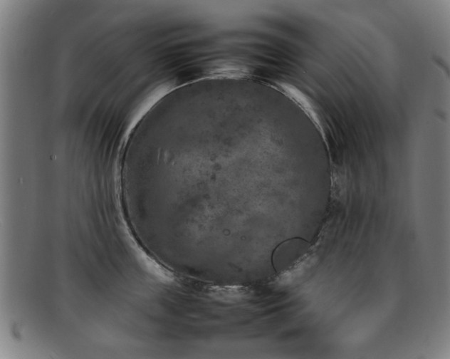 X0000092100859200709121543