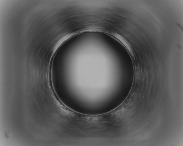 X0000092100861200709121543
