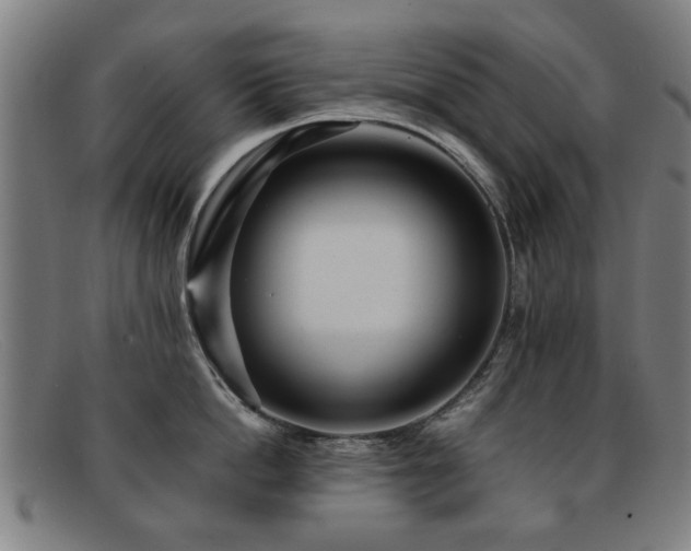 X0000092100862200709121543