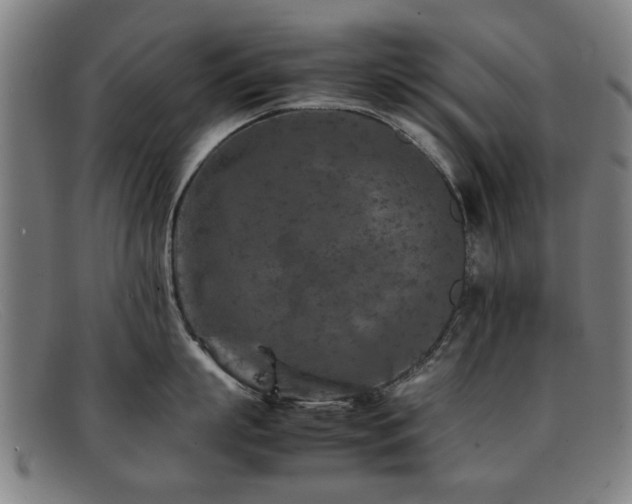 X0000092100863200709121543