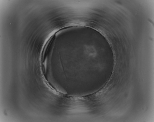 X0000092100864200709121543
