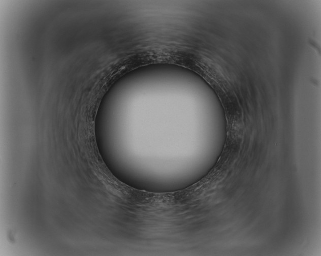 X0000092100865200709121542