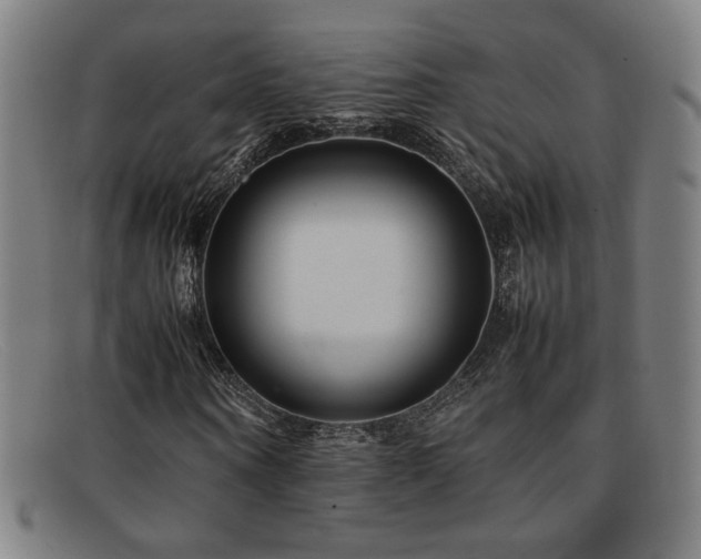 X0000092100866200709121542