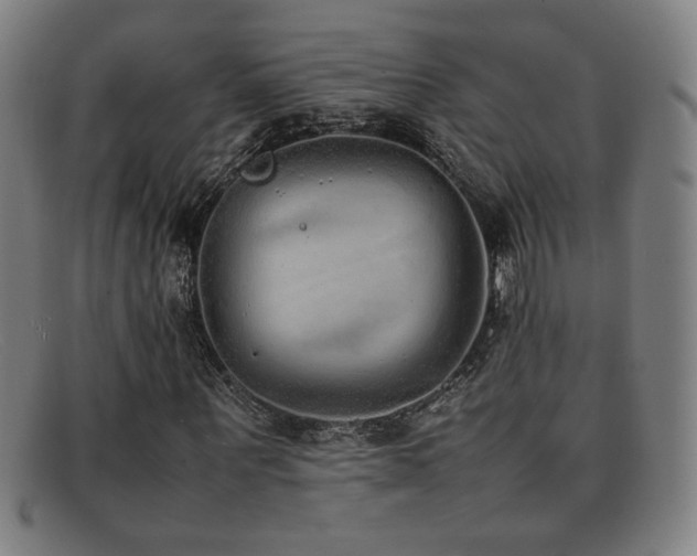 X0000092100867200709121542
