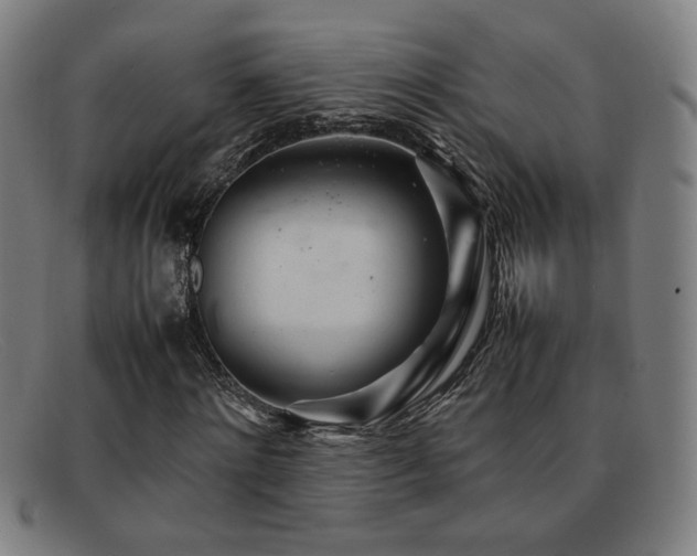 X0000092100868200709121542