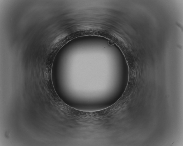 X0000092100869200709121542