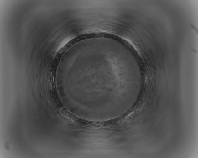 X0000092100871200709121542