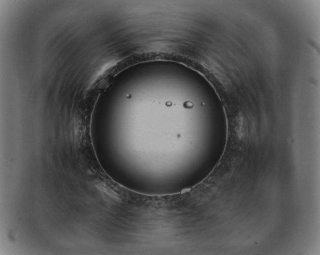 X0000092100872200709121542