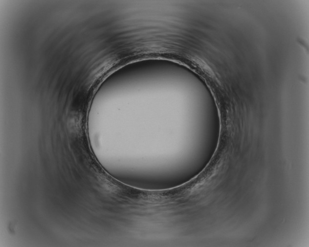 X0000092100873200709121542