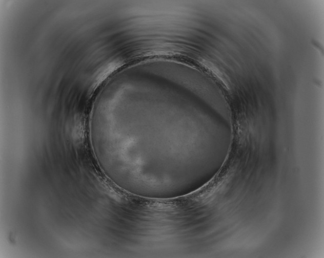 X0000092100874200709121542