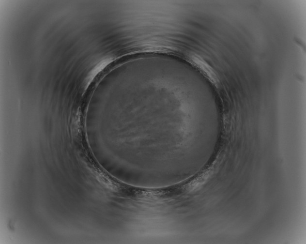 X0000092100875200709121542