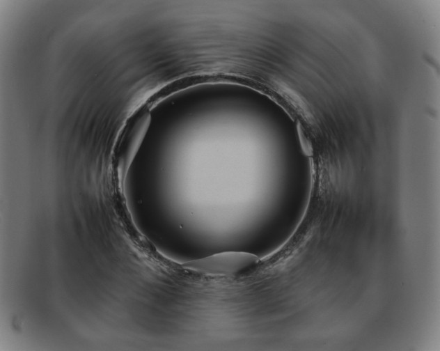 X0000092100876200709121542
