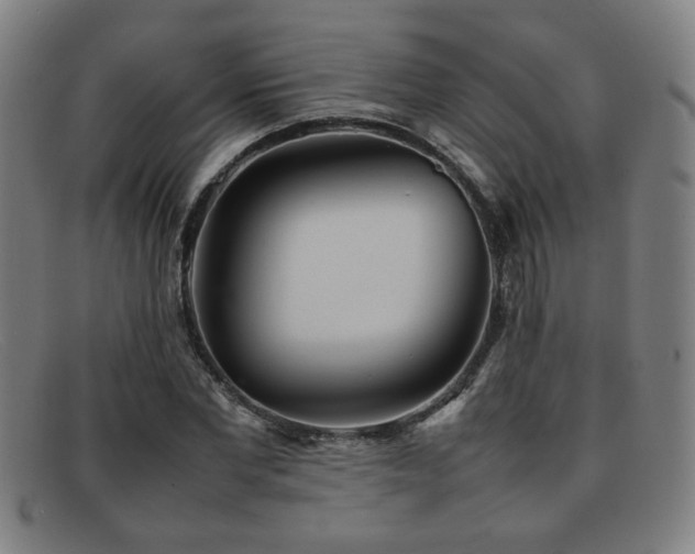X0000092100877200709121542