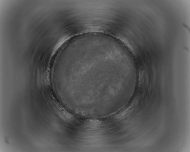 X0000092100878200709121542