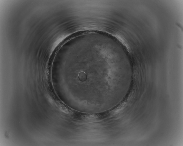 X0000092100879200709121542