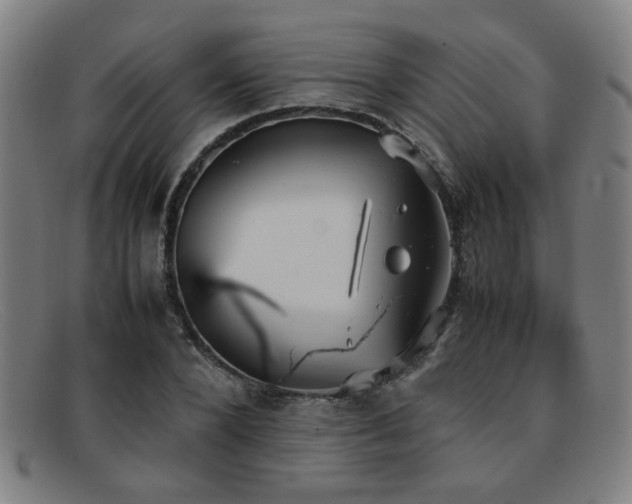 X0000092100880200709121542