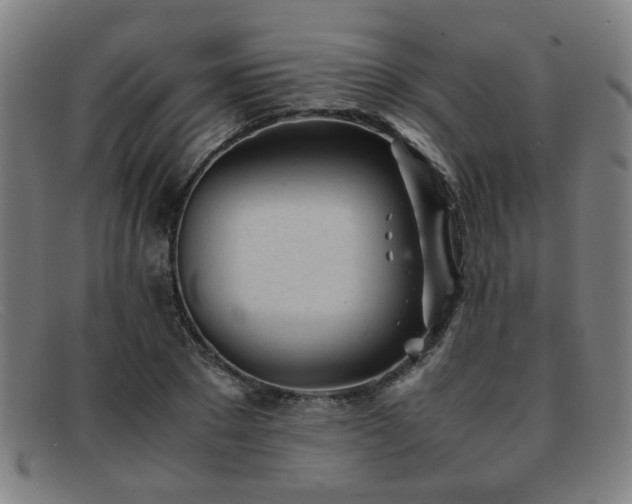 X0000092100881200709121542