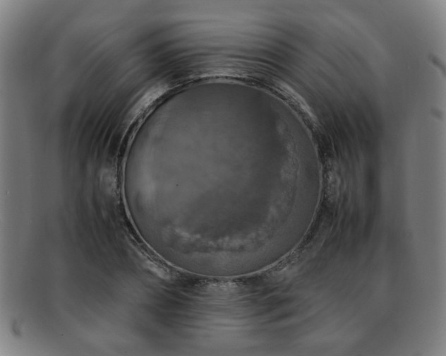 X0000092100882200709121542
