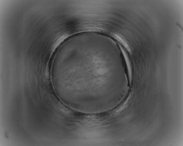 X0000092100883200709121542