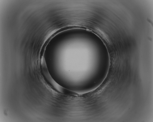 X0000092100884200709121542