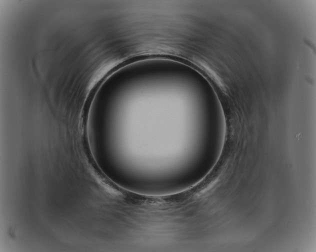 X0000092100885200709121542