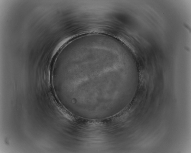 X0000092100886200709121542