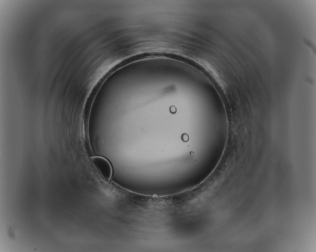 X0000092100887200709121542