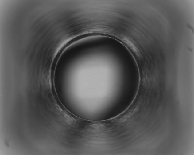 X0000092100888200709121542