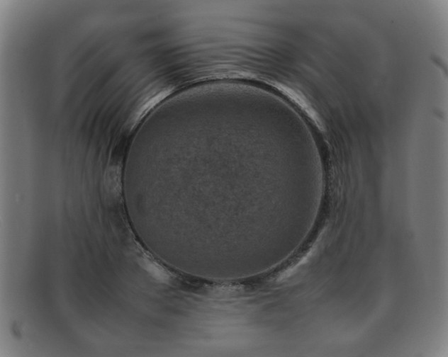 X0000092100889200709121542