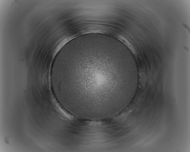 X0000092100890200709121542