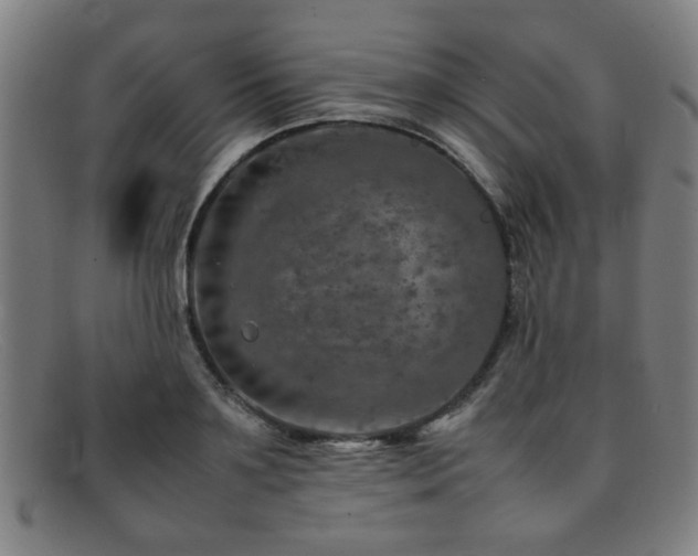 X0000092100891200709121542