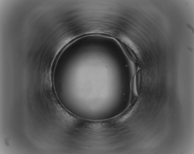 X0000092100892200709121542