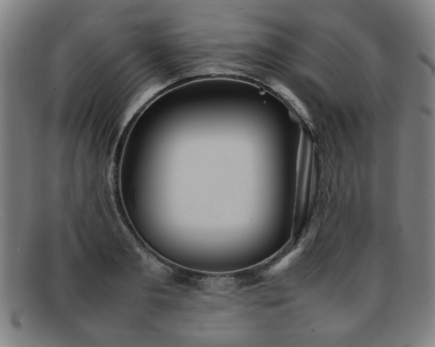 X0000092100893200709121542