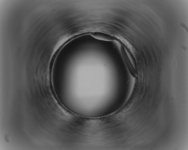 X0000092100894200709121542