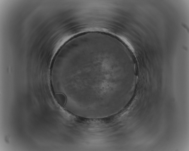 X0000092100895200709121542