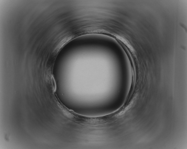 X0000092100897200709121542