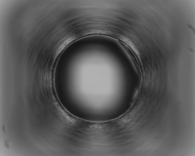 X0000092100898200709121542