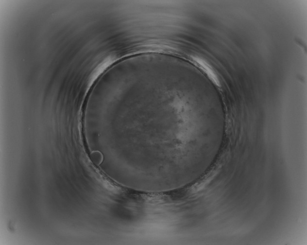 X0000092100899200709121542