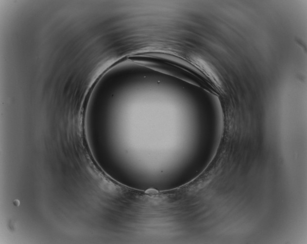 X0000092100900200709121542